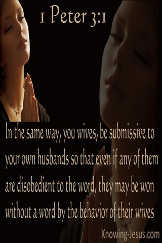 1 Peter 3:1 Wives Be Submissive To Your Own Husbands (brown)